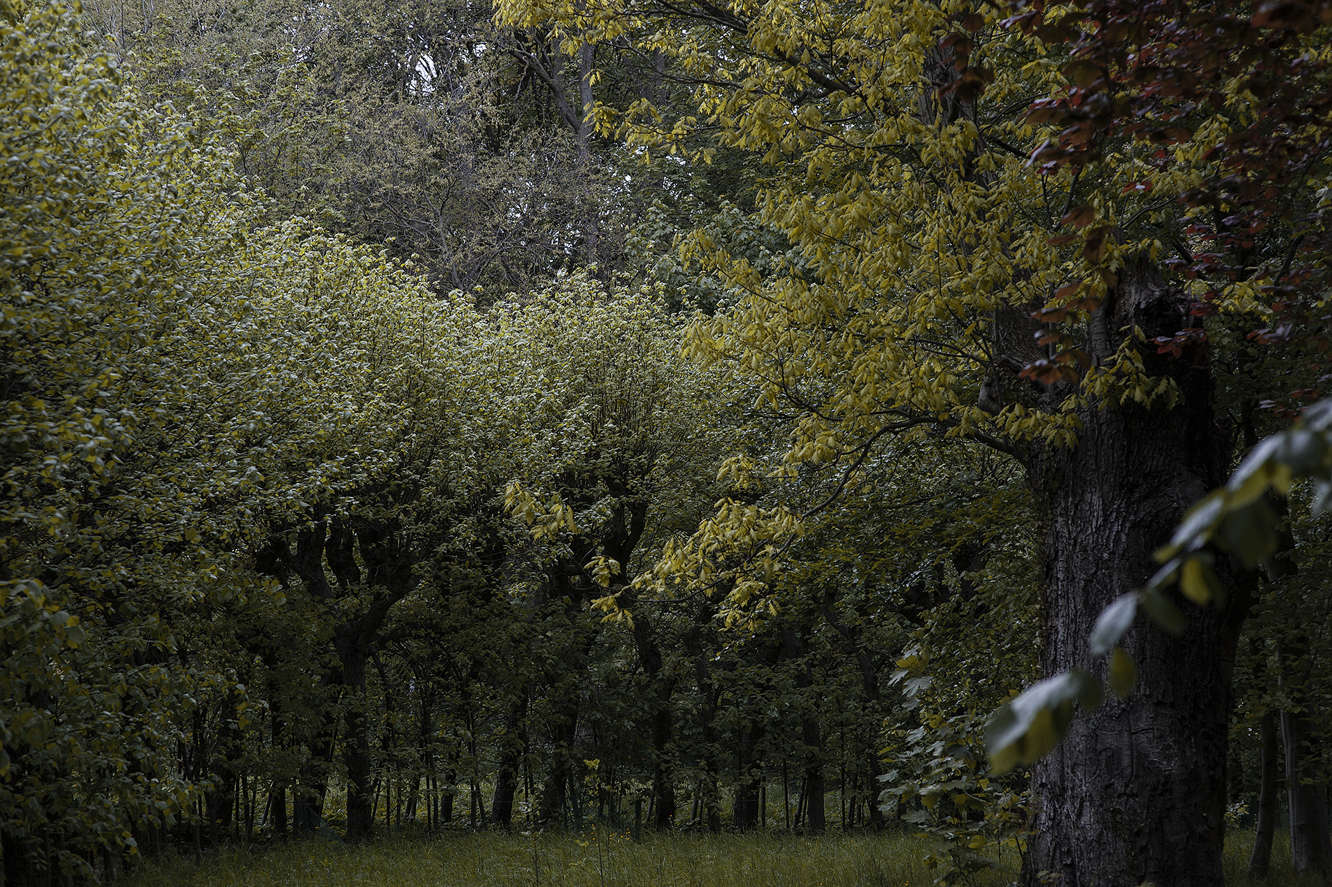 Rezydencja wytchnieniowa 2026 | open call
